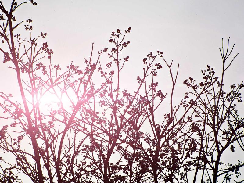 sudoku number puzzle screenshot 6