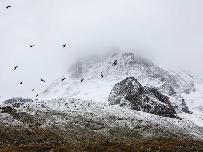 feedback screenshot 5